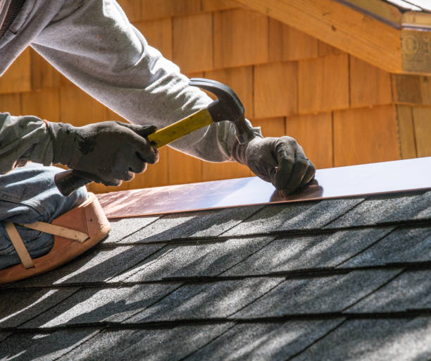 Best Roof Gutter Cleaning  in Village Of The Branch, NY